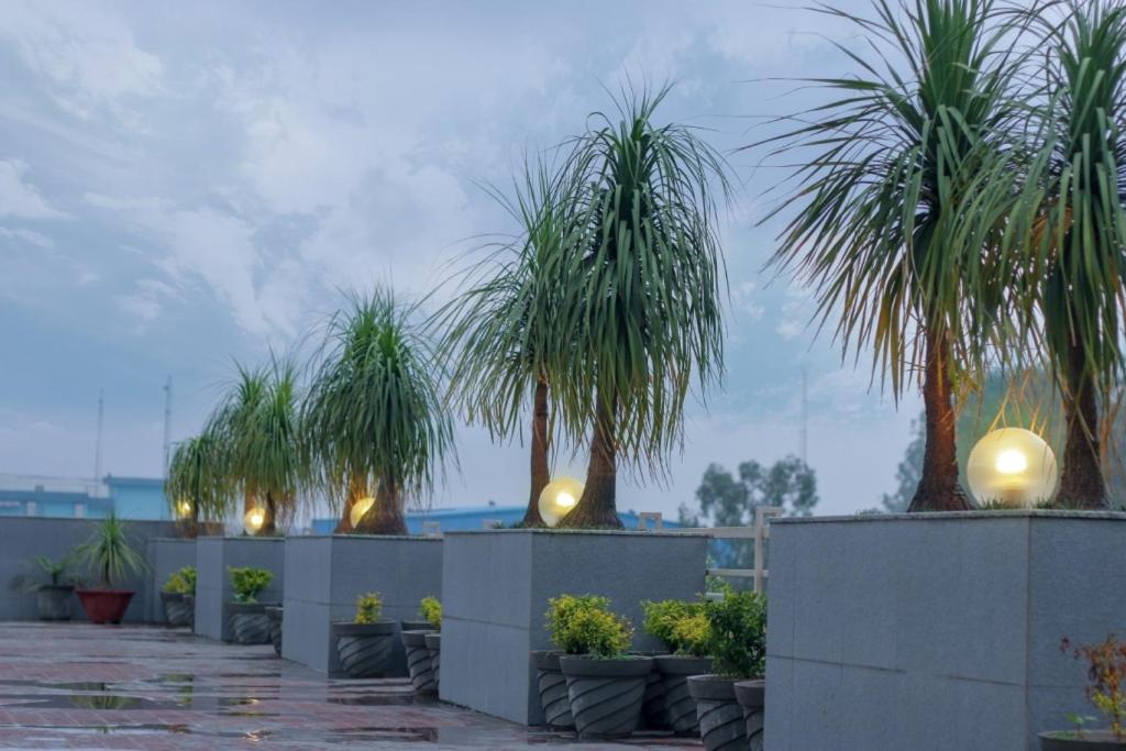Mg Regency Hotel Baddi Eksteriør billede